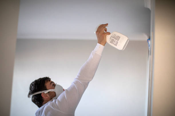 Best Post-Remediation Services in Jewett City, CT